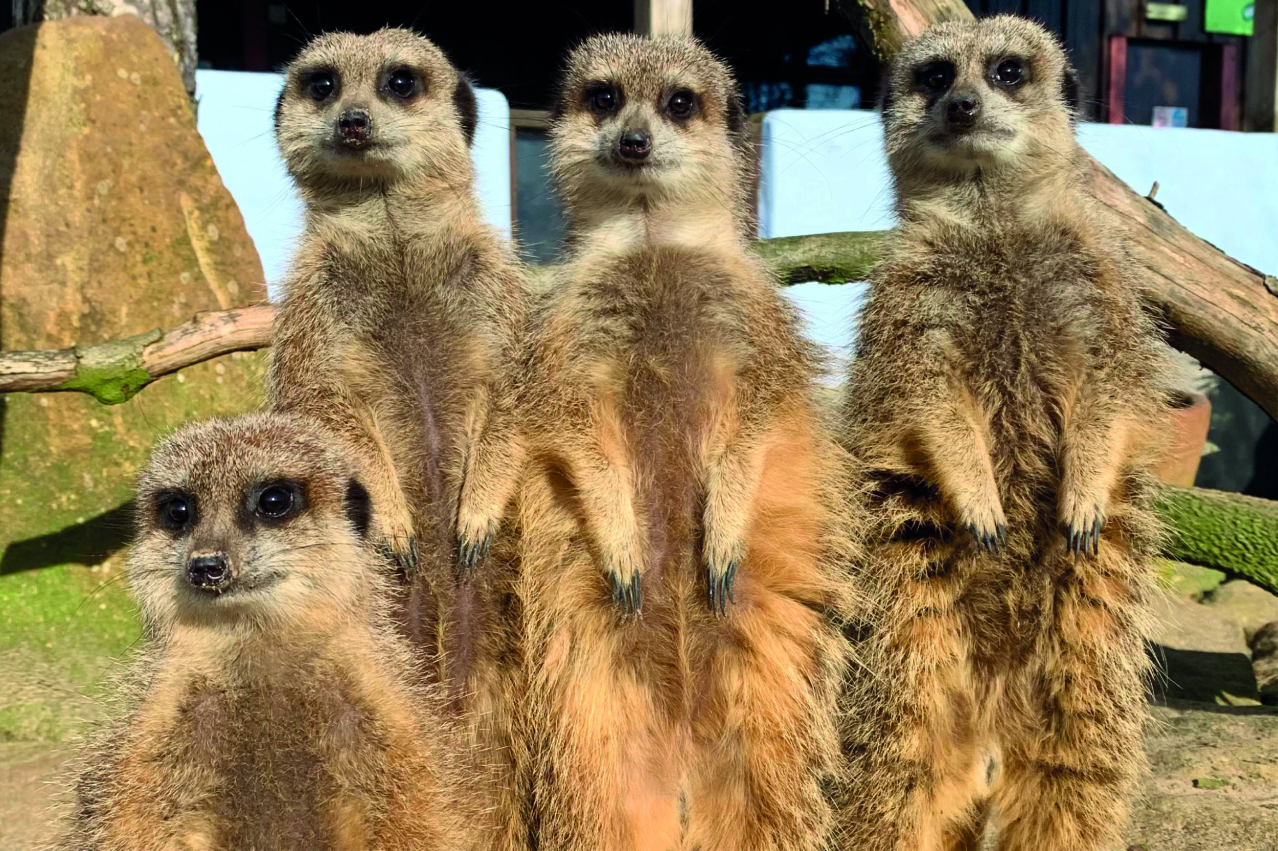 local attractions